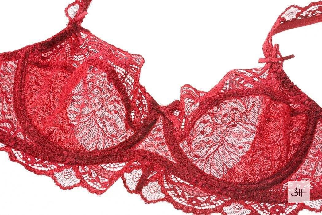 Women's Fine Lace 2Pcs Lingerie Set
